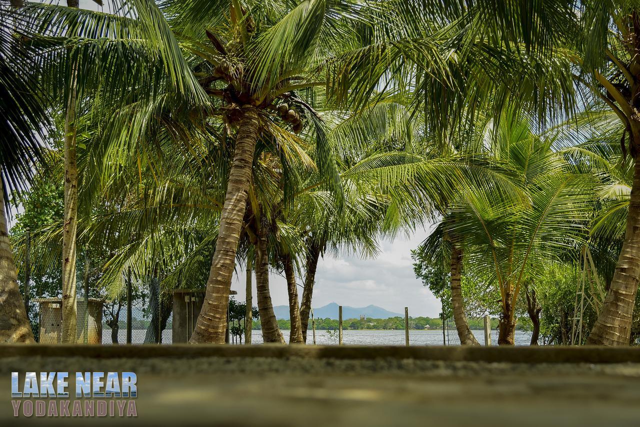 Lake Near Yala Tissamaharama Dış mekan fotoğraf